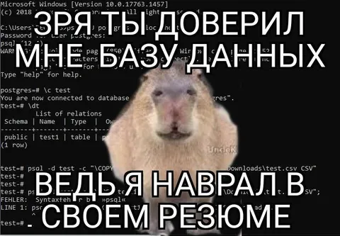 Наврал в резюме про базу данных
