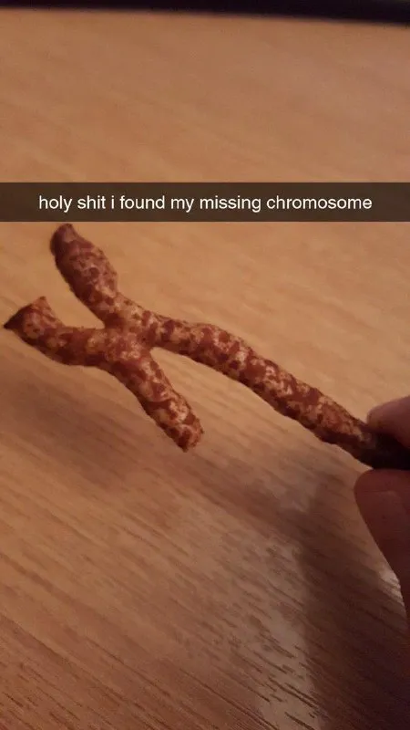 Found My Missing Chromosome
