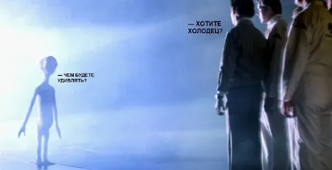 Хотите холодец?