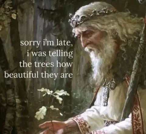 Telling the Trees They’re Beautiful