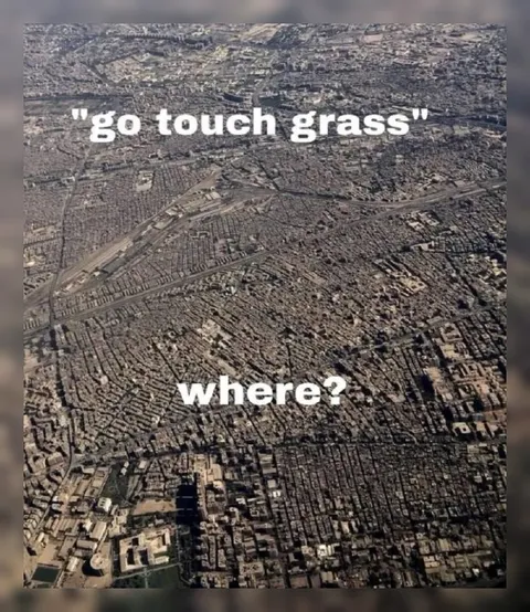 Where Is the Grass?