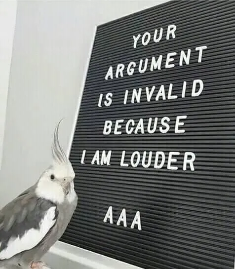Your Argument Is Invalid Because I Am Louder