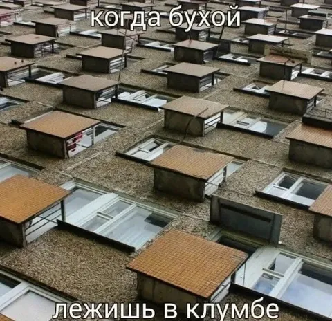 Когда бухой лежишь в клумбе