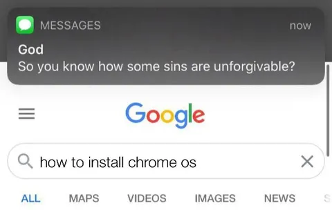 Unforgivable Sin Installing Chrome OS