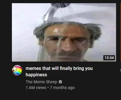Memes That Bring Happiness