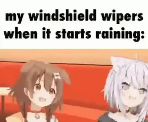 Windshield Wipers When It Rains