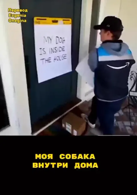 Доставщик радует собаку