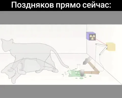 Поздняков превращается в кота