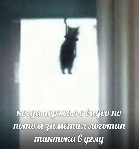 Когда заметил логотип TikTok