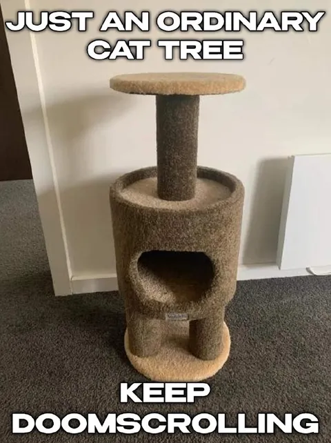 Just an ordinary cat tree