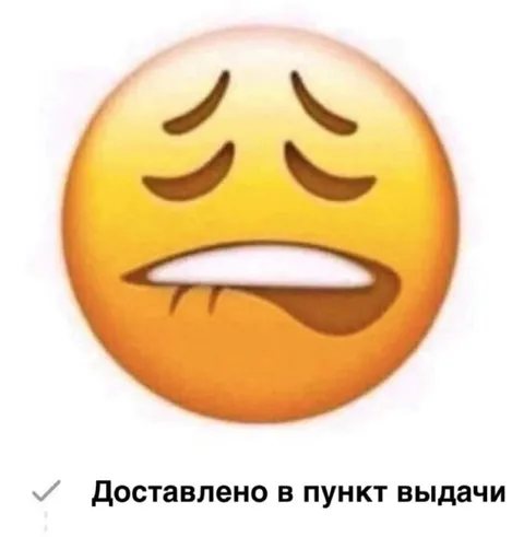 Доставлено в пункт выдачи