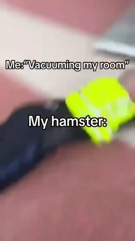 Hamster Gets Vacuumed Away