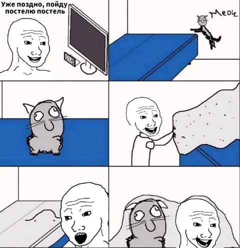 Кот не даёт постелить постель