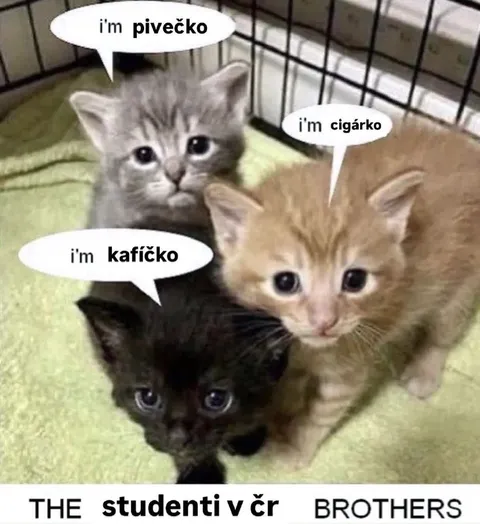 Studenti v ČR brothers