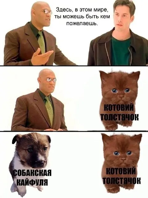 Кем пожелаешь быть