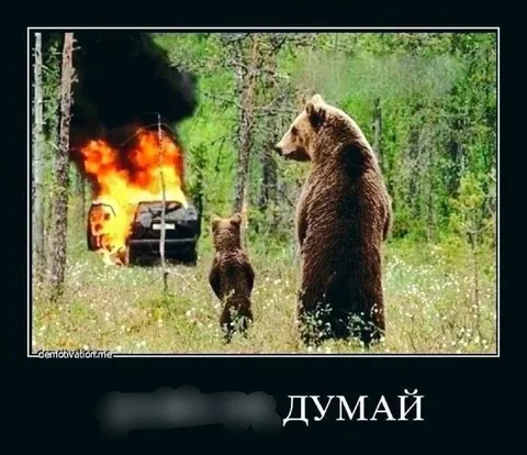 Медведь учит сына думать