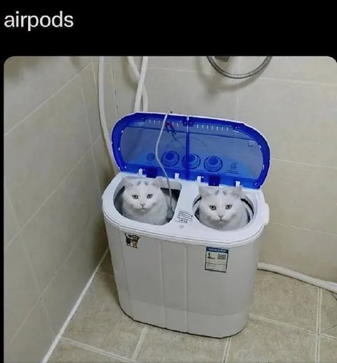 AirPods Washing Machine Cats