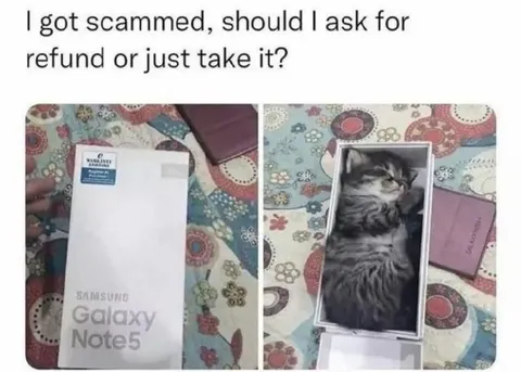 Galaxy Note5 Cat Scam