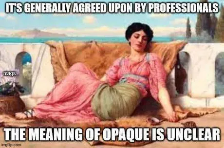 Opaque Meaning Is Unclear