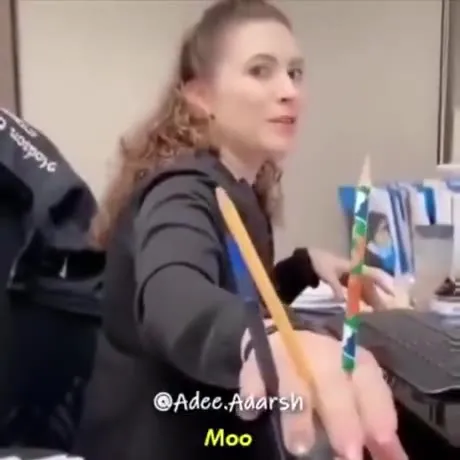 Cow Noise Goes Meow