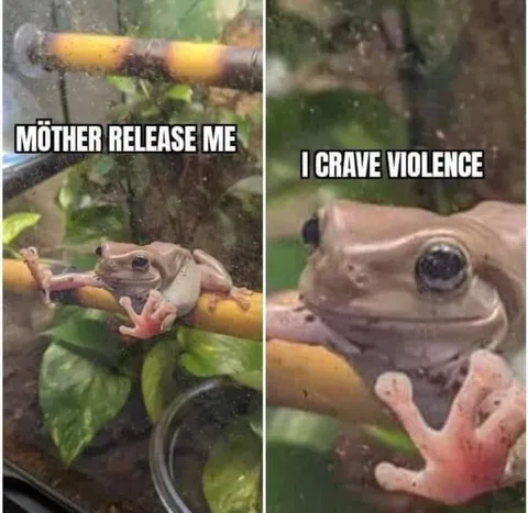 Frog Craves Violence