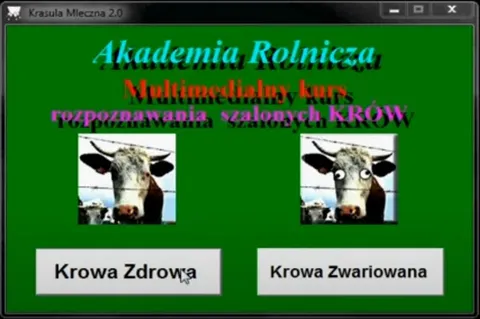 Multimedialny kurs rozpoznawania krów