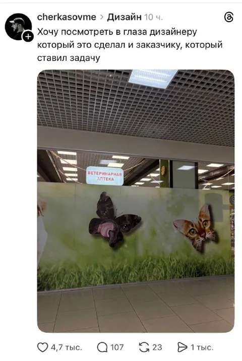 Дизайнер и заказчик ветаптеки