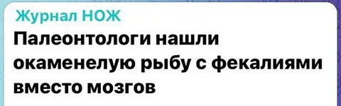 Рыба вместо мозга