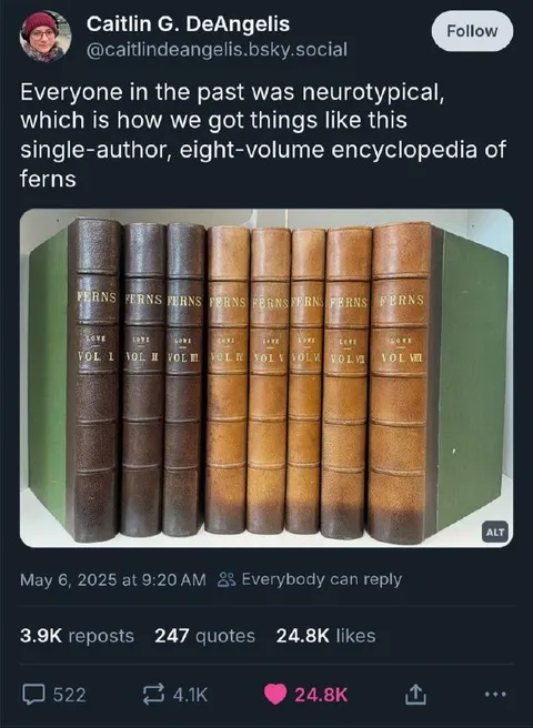 Neurotypical Encyclopedia of Ferns