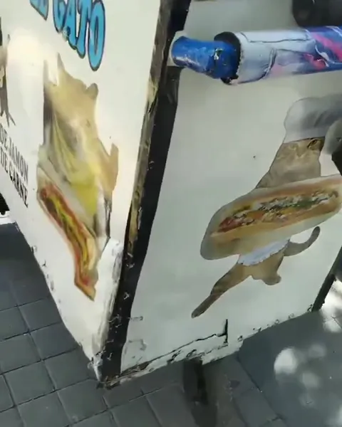 Panes el Gatito y gatos en sándwiches
