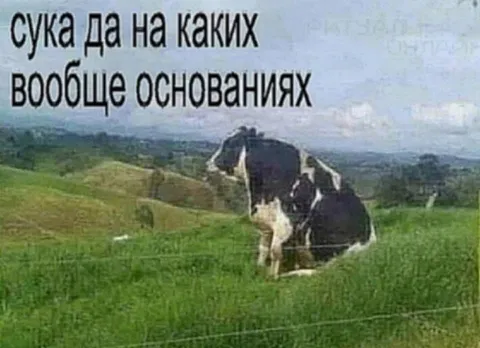 На каких вообще основаниях