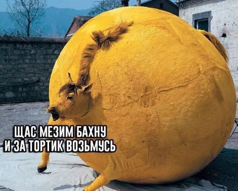 Мезим и тортик
