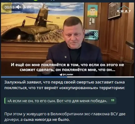 Залужный и несуществующий сын