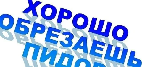 Хорошо обрезаешь, пидорас
