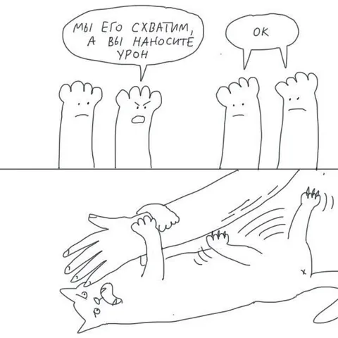 Мы его схватим, а вы наносите урон