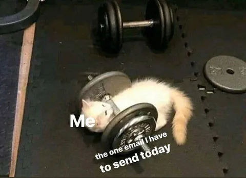 Cat Lifting the One Email