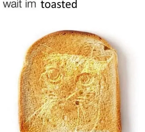 Wait Im Toasted Cat