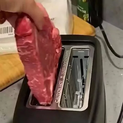 Raw Steak in the Toaster