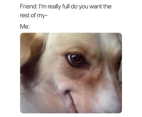 Sad Dog Wants the Rest