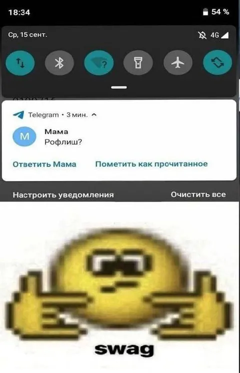 Мама спрашивает: рофлишь?