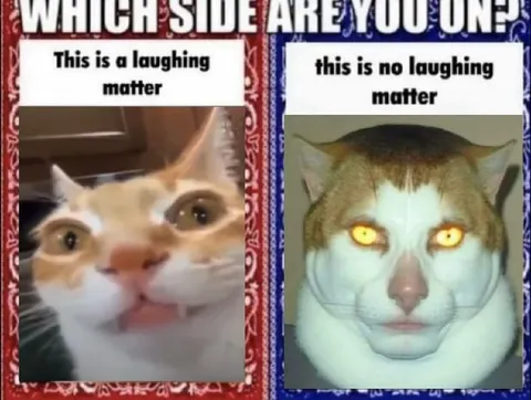 Which Side Are You On?