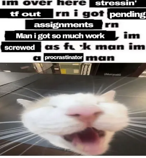 Overwhelmed Procrastinating Cat