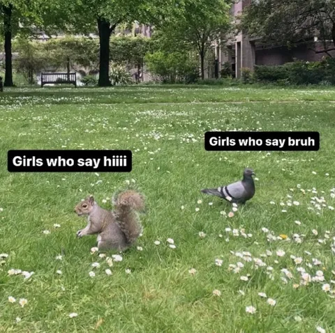 Girls Who Say Hiii vs Bruh