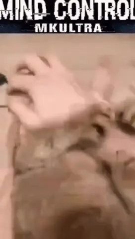 Mind Control Cat Loses Control
