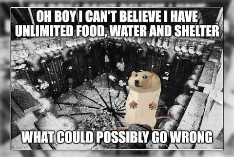 Unlimited Food Water and Shelter