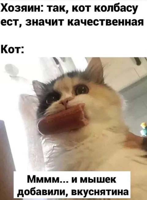 Кот оценил колбасу и мышек