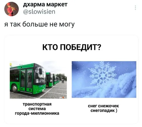 Кто победит: автобусы или снег