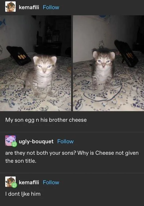 Egg and Cheese Brothers
