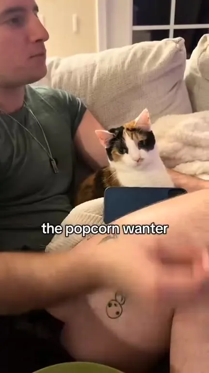 The Popcorn Wanter Cat