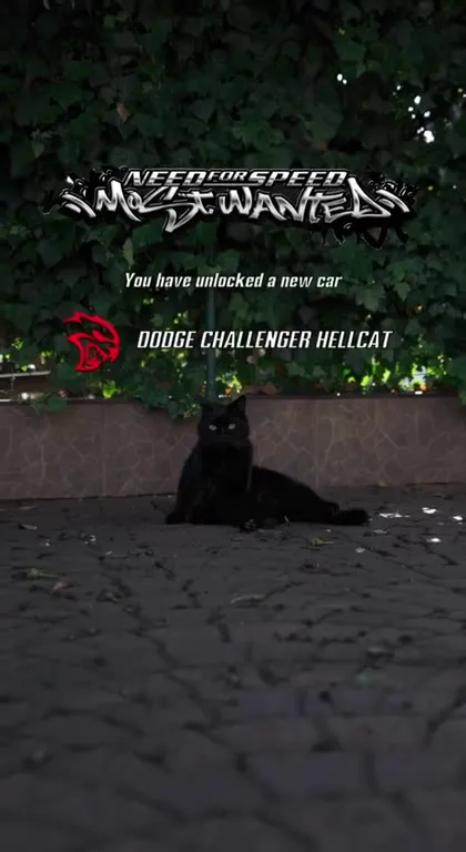 Black Cat Hellcat Unlock